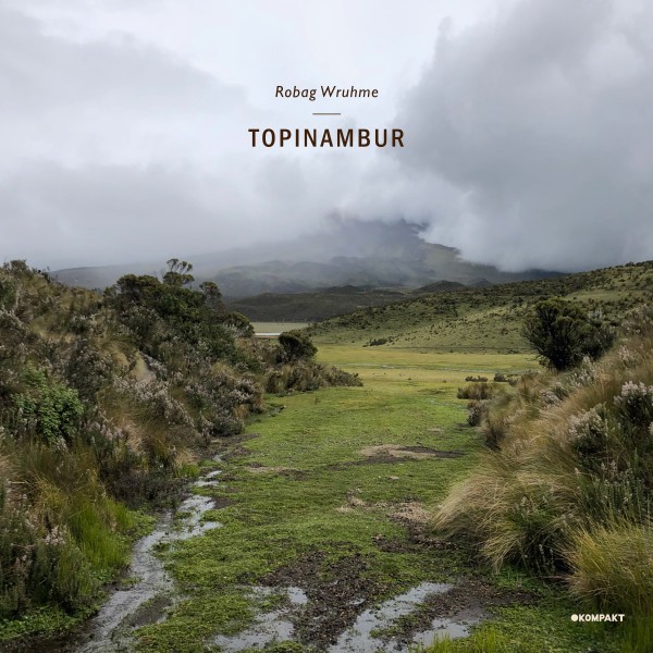 Topinambur EP