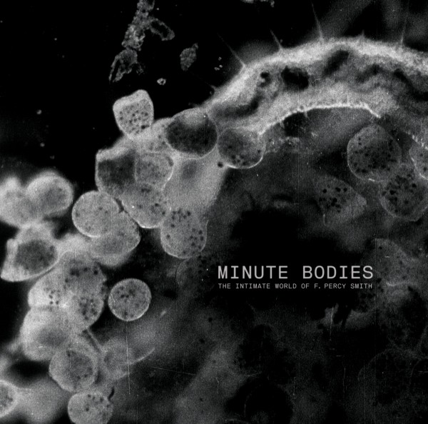 Minute Bodies (LP + DVD)