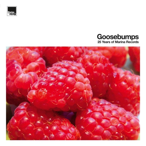 Goosebumps (Orange,Yellow,Red Vinyl)