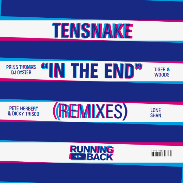 In The End Remixes