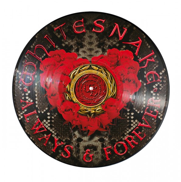 Always &amp; Forever (Picture Disc)