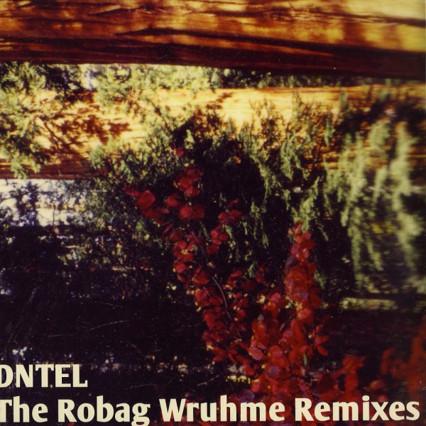 The Robag Wruhme Remixes